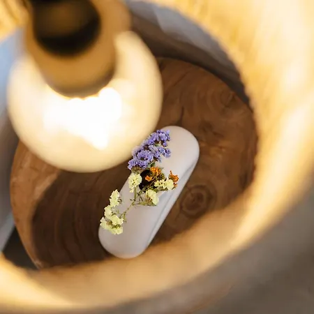 Villa Nymphee Luxury Agia Anna (Naxos)